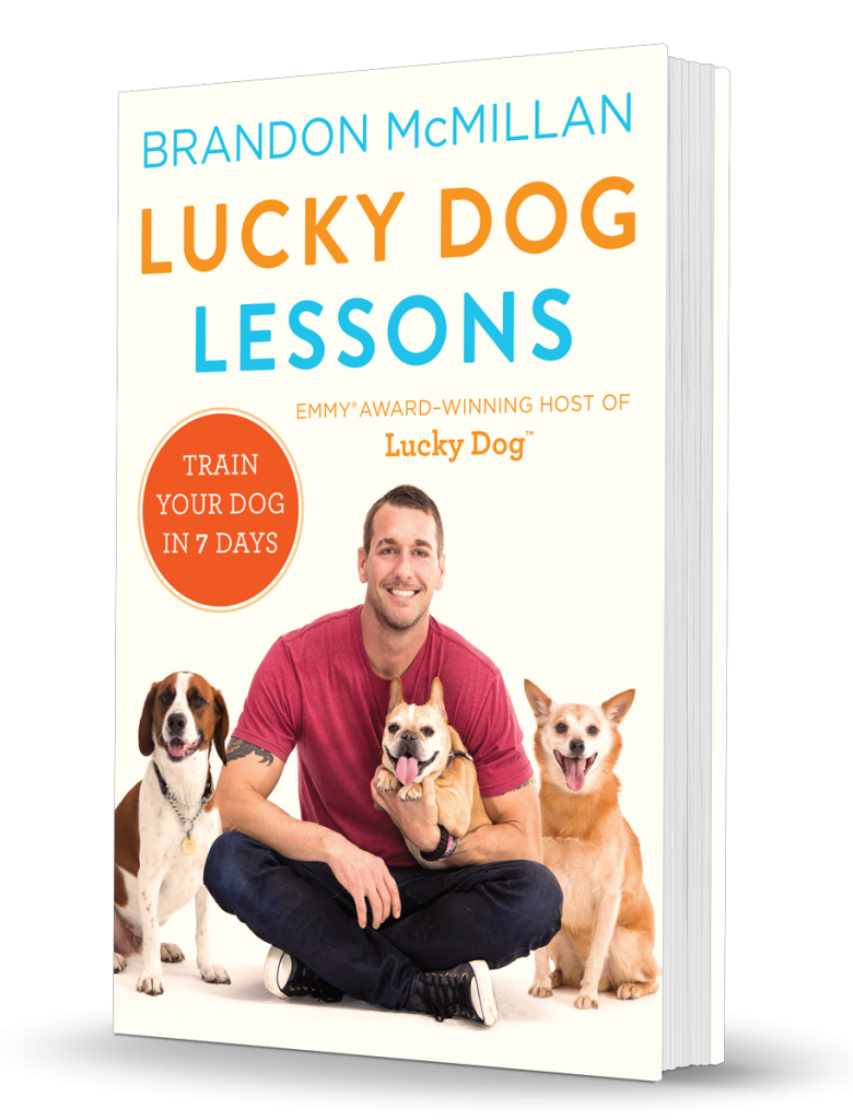 Anschauen Lucky Dog film auf Deutsch mit Untertiteln in QHD bestgload